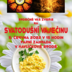 Svatodušní vaječina