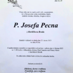 Parte J Pecen